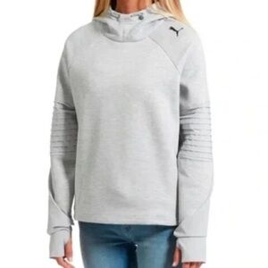 Puma Gray Evostripe Hooded Sweatshirt